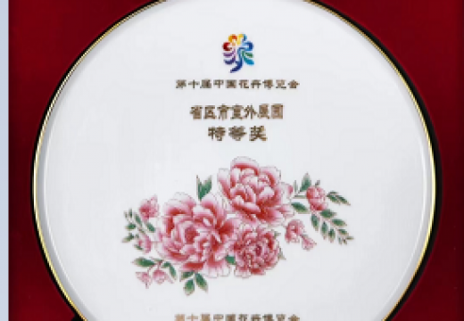 第十届中国花卉博览会室外展馆“特等奖”